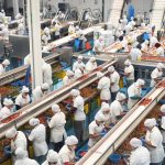 Michoacán, entre los 10 estados con más generación de empleo: Sedeco