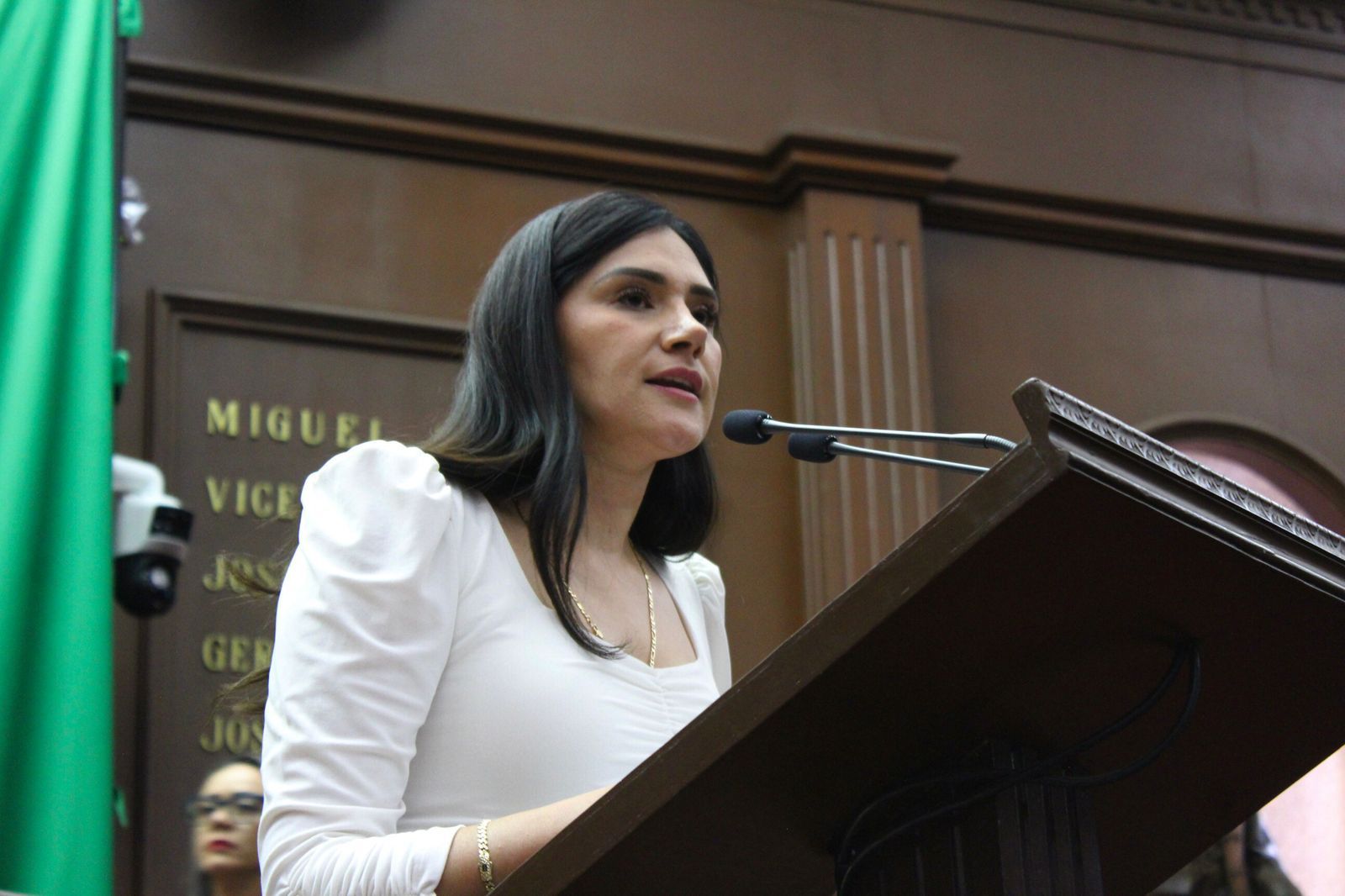 Plantea Diana Espinoza de 40 a 60 años de prisión a homicidas de periodistas y defensores de derechos humanos