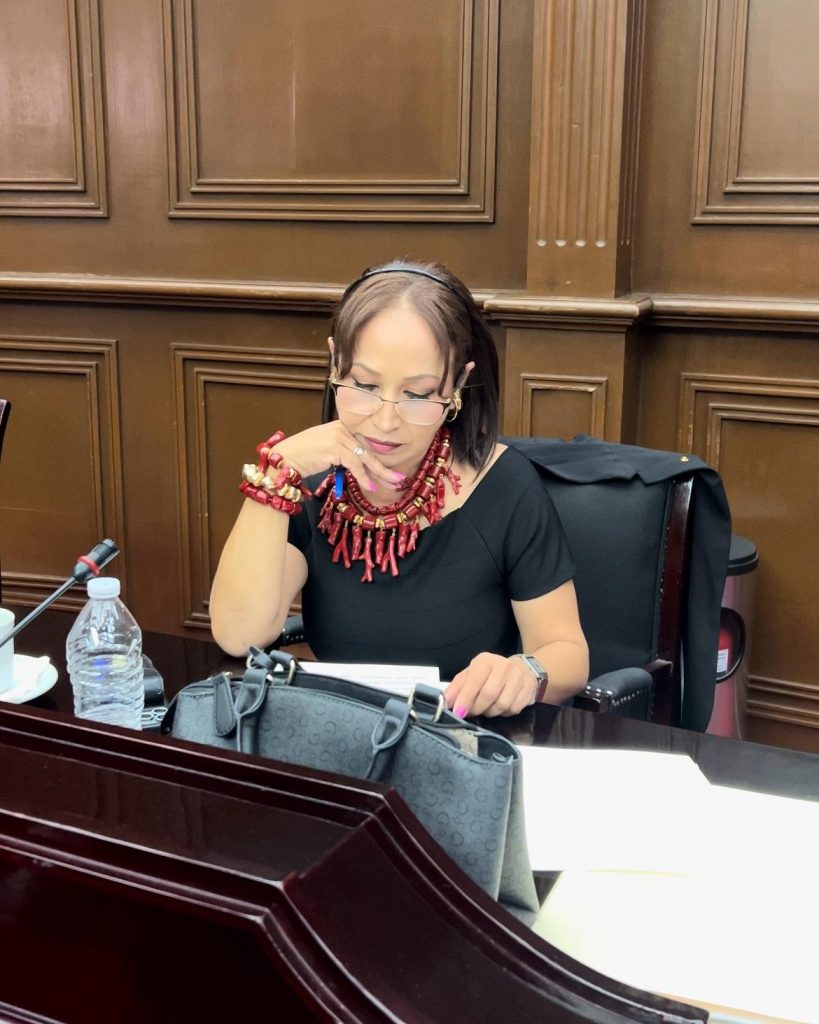 Itzé Camacho busca que preguntas sobre maternidad o matrimonio sean reconocidas como violencia laboral
