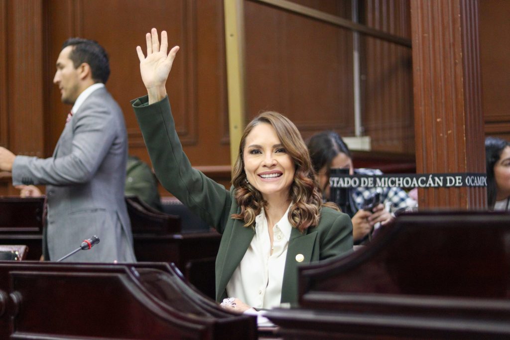 Entrada en vigor de Gobierno Digital, permitirá la modernización de la administración pública: Nalleli Pedraza
