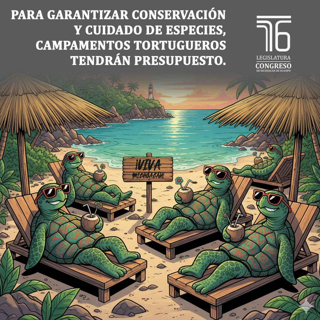 Michoacán asegura recursos para la protección de tortugas marinas