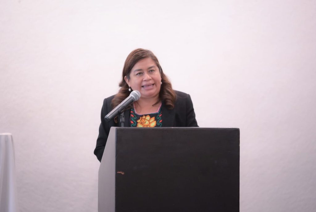 Belinda Iturbide propone ante el pleno promover inclusión laboral de personas con discapacidad