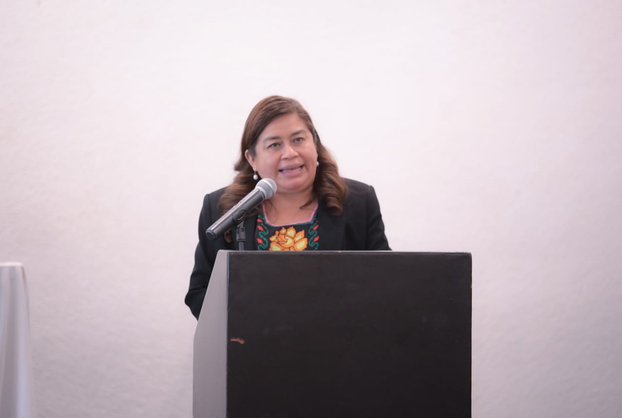 Belinda Iturbide propone ante el pleno promover inclusión laboral de personas con discapacidad